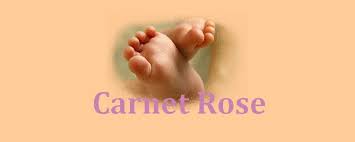Carnet Rose